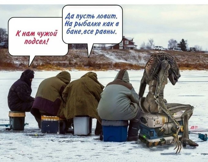 Юмор для тех, кто уже повзрослел и понял, что «бунт» — это лечь спать без чистки зубов