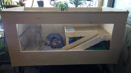 Кто как готовится к появлению самого важного члена семьи.