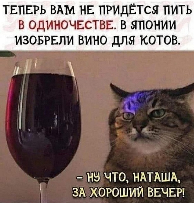 Свежая подборка веселых картинок с надписями 