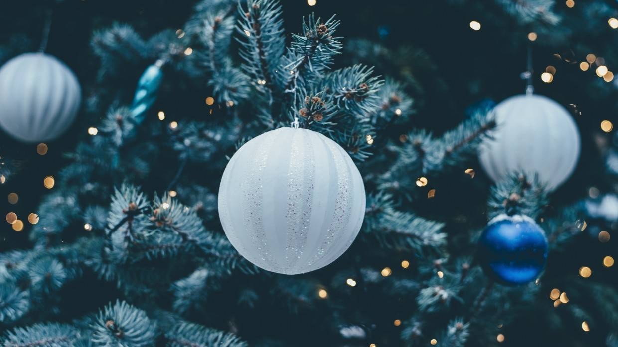 Эксперт Шапкин объяснил, как выбрать правильную искусственную ель к Новому году