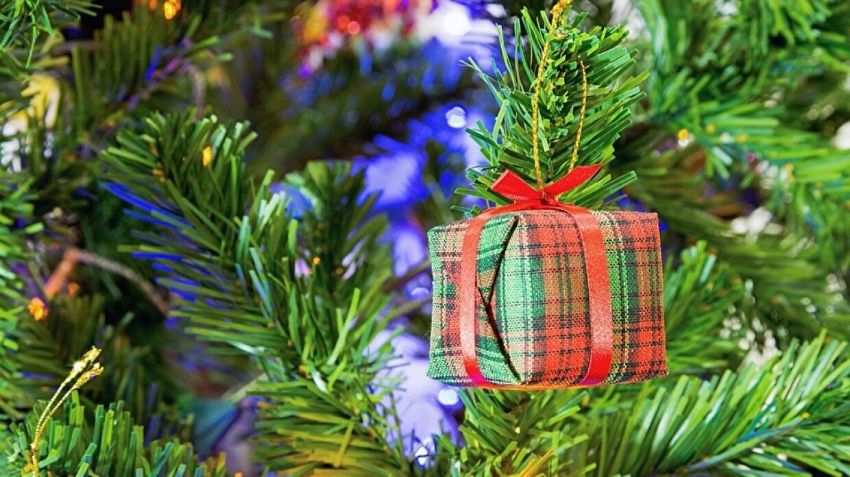 Певец Дмитрий Колдун показал необычные украшения на новогодней елке