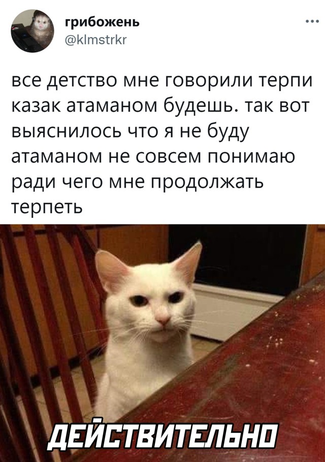 Подборка прикольных картинок  приколы,смешные картинки,юмор