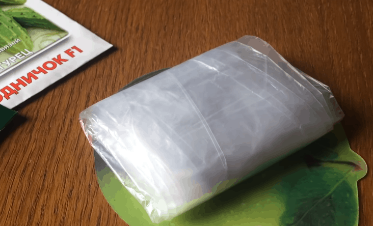 Экспресс-метод выращивания рассады огурцов: быстрее просто не бывает! огород,огурцы,рассада