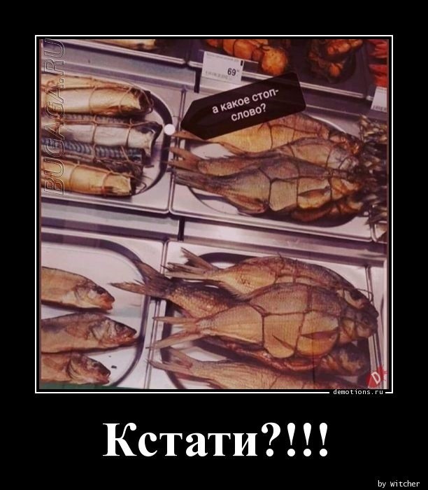 Демотиваторы – приколы: «Когда собираешься в магазин» Демотиваторы – приколы: «Когда собираешься в магазин»