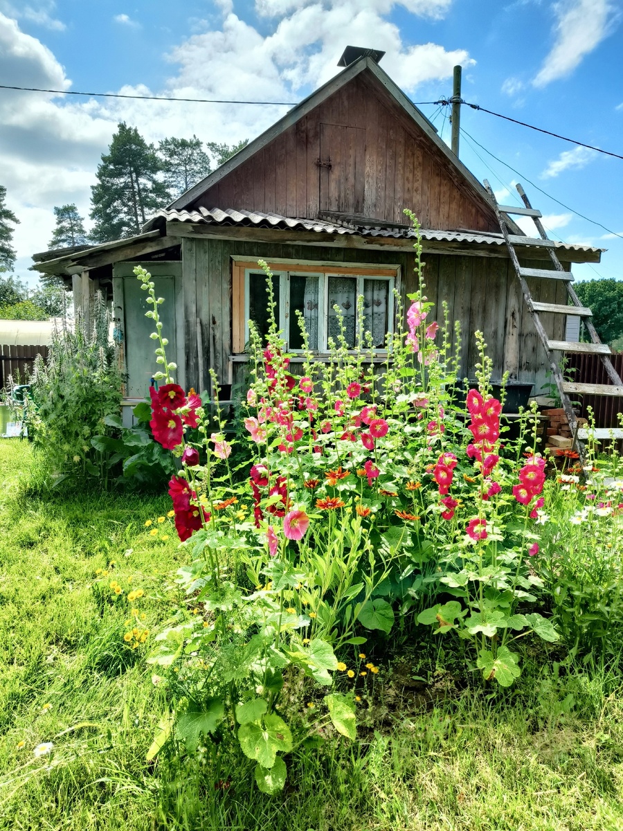 Домик снаружи (свежее фото, внешне он мало изменился)