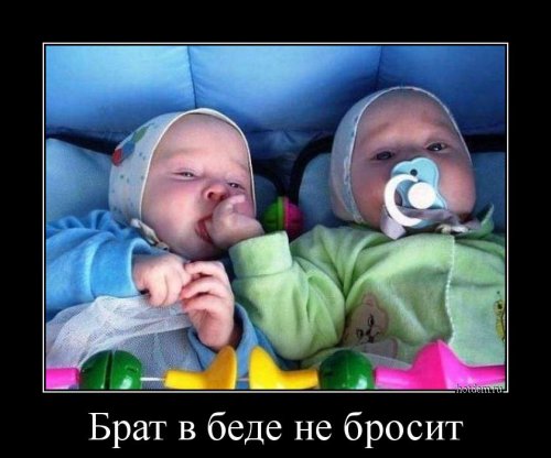 Новые демотиваторы-приколы (16 шт)