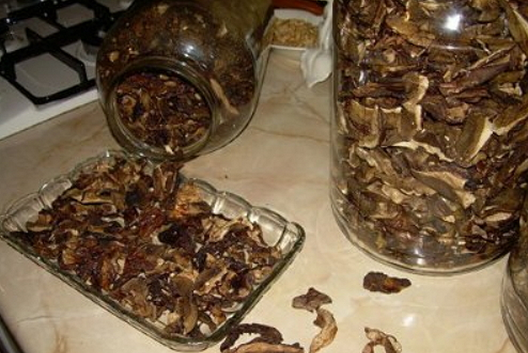 В чем хранить сушеные грибы. Как хранить высушенные грибы. Опята сушеные. Сухие грибы. Грибы сухие белые в банках.