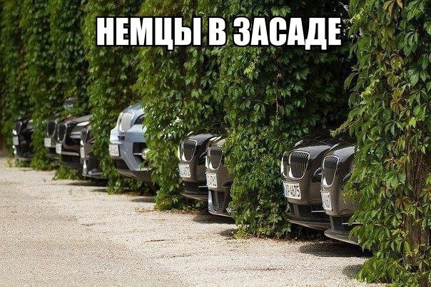 Подборка интересных и веселых картинок №29 обзоры