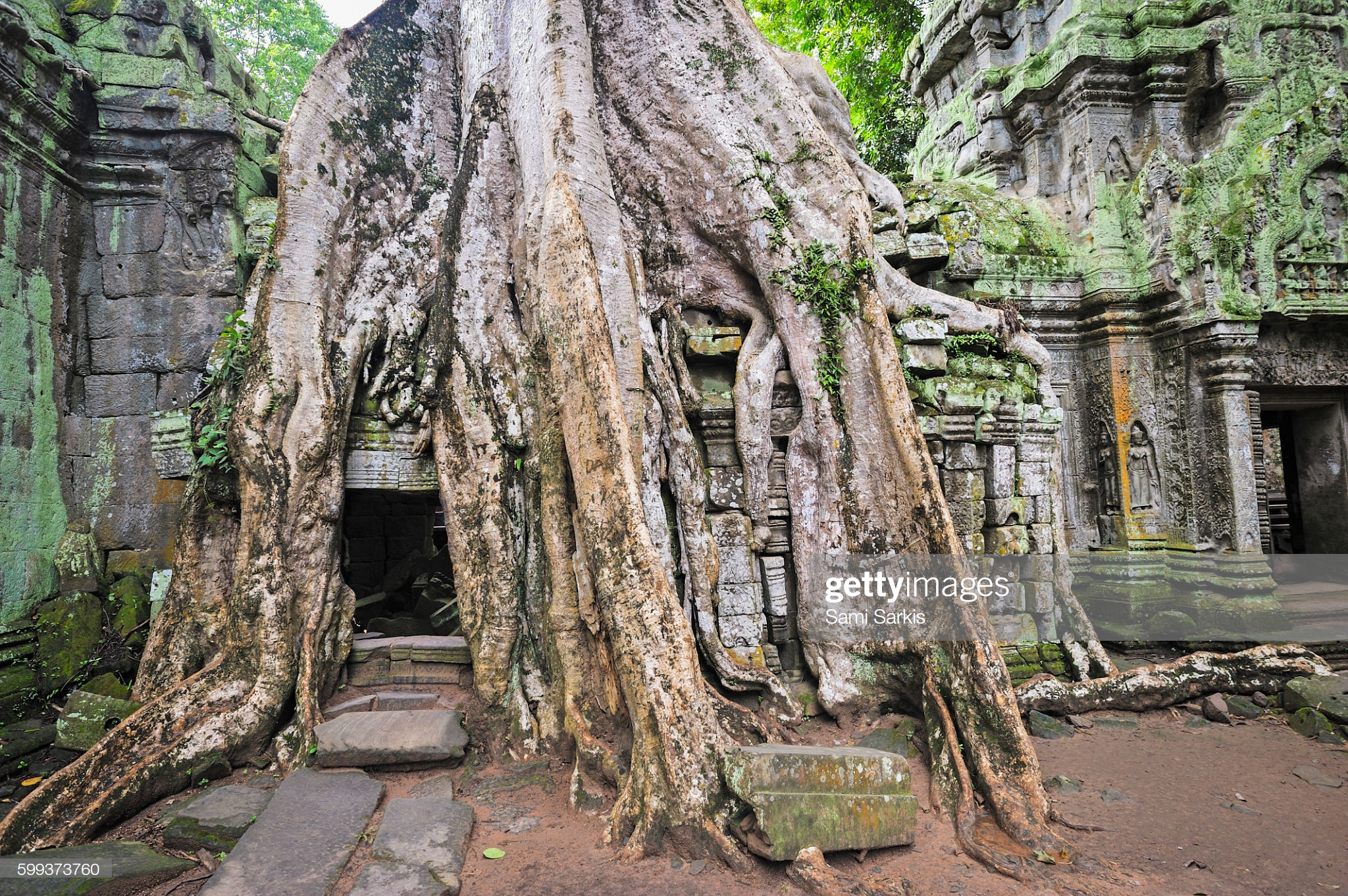 20 фото, которые подтверждают, что на нашей планете нет ничего могущественнее силы природы интересное,природа,фотография