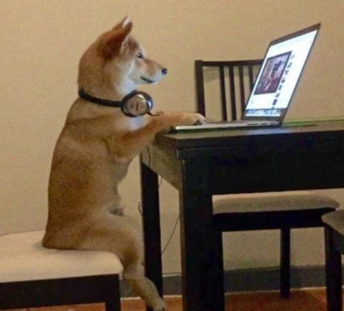 26 фотографий с животными, которые подарят позитив и вызовут улыбку 26 фотографий с животными, которые подарят позитив и вызовут улыбку mir-interes.info