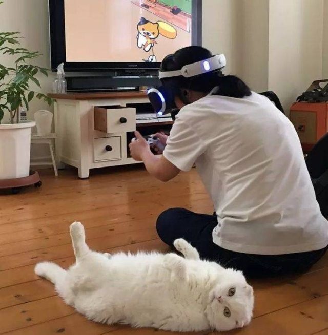 Самые смешные картинки дня Самые смешные картинки дня