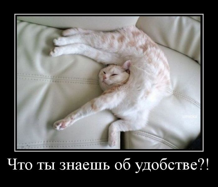 Подборка интересных и веселых картинок №33 демотиваторы