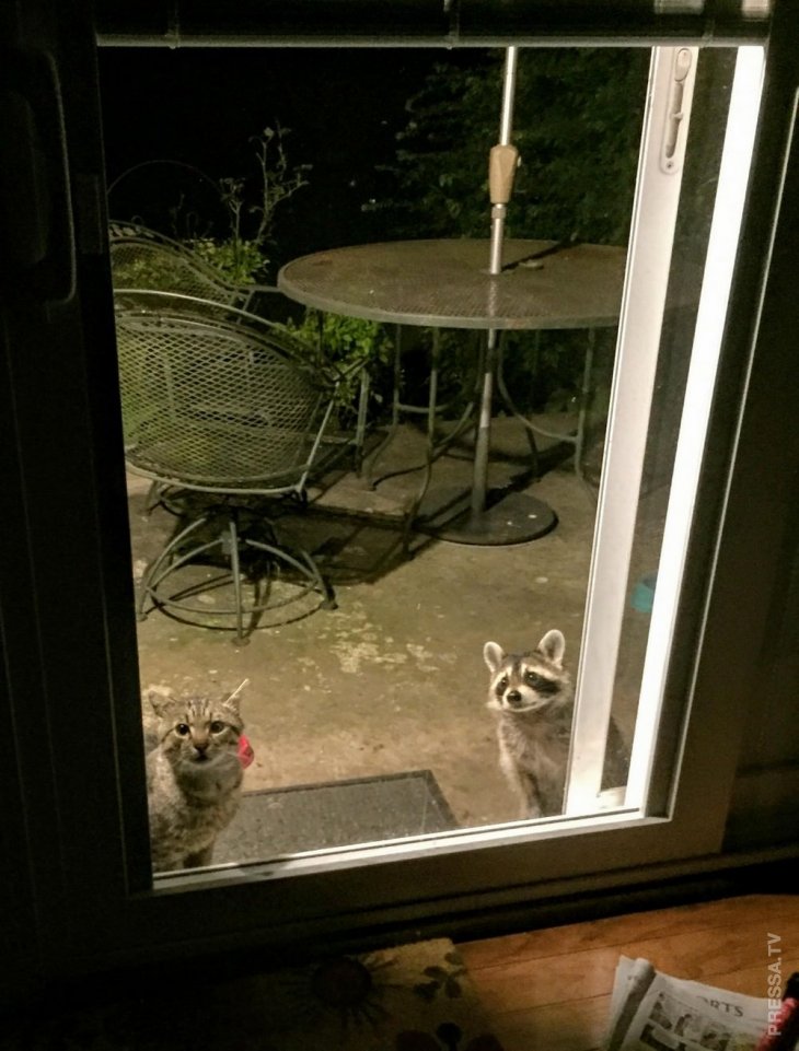 Фэйлы и неудачи Фэйлы и неудачи