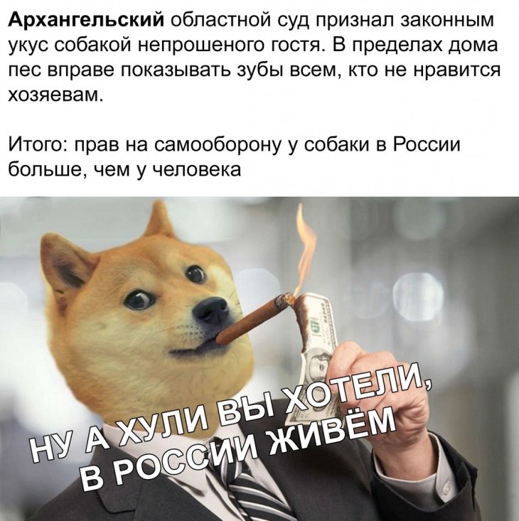 Смешные картиночки и мемы Смешные картиночки и мемы