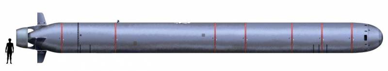 Взрыв «Посейдона» у берегов США вызовет массовую панику среди населения Взрыв «Посейдона» у берегов США вызовет массовую панику среди населения оружие,Россия,США