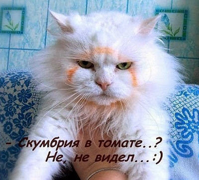 Юмор из интернета 650 позитив,смех,улыбки,юмор