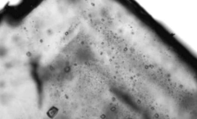 Биологи распечатали кристалл возрастом 830 миллионов лет для изучения бактерий, которые были внутри 