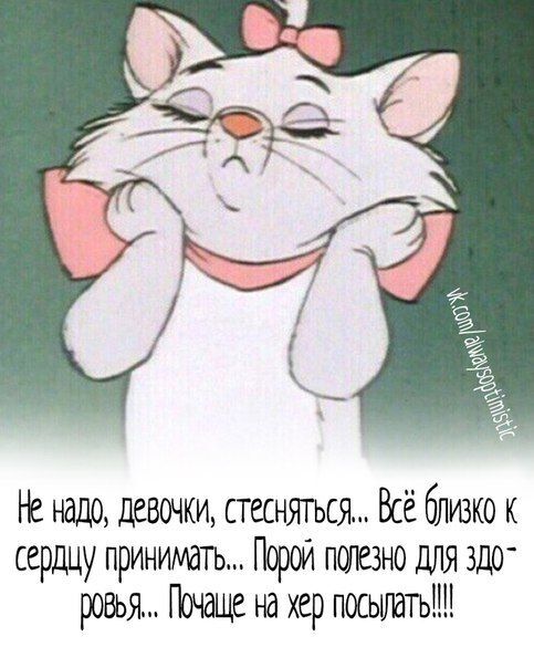 Несколько задорных открыток с отборным юмором Несколько задорных открыток с отборным юмором