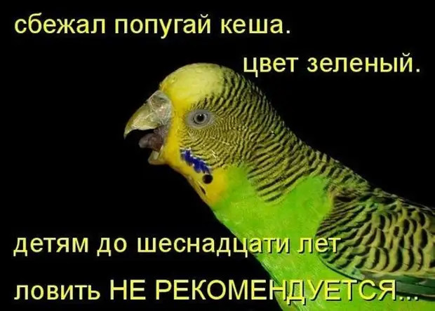 Бабы в этом году были настолько хороши, что получили за это не только бабье лето, бабью осень, но и бабью зиму 