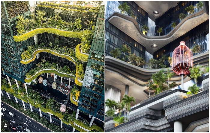 Проект городской гостиницы «Parkroyal on Pickeringв» с вертикальным озеленением реализовало архбюро WOHA (Сингапуре). | Фото: hvoya.wordpress.com/ facebook.com.