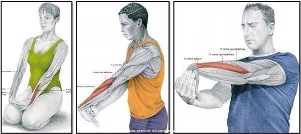 Зачем нужна растяжка и как правильно растягиваться?