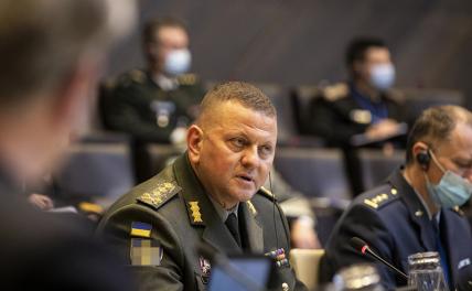 Запад считает, что Зеленского нужно срочно менять на генерала Залужного геополитика,украина