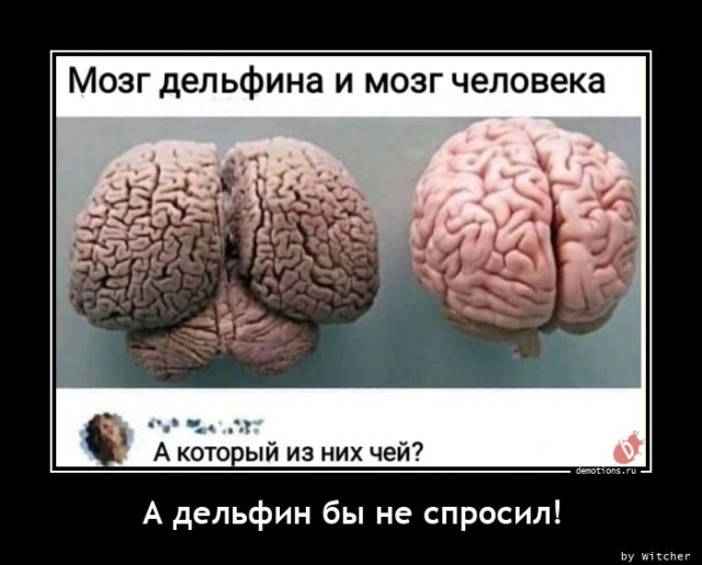 Традиционная коллекция демотиваторов для ценителей приколов и юмора! 