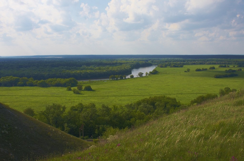 Край отозваться