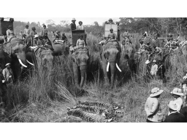 Предательство или политическая мудрость? Почему британский король не спас семью Романовых история