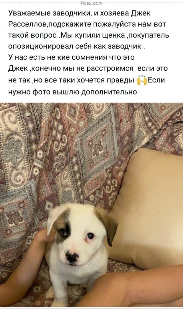 20 косячных комментариев, от которых кровоточат глаза 20 косячных комментариев, от которых кровоточат глаза позитив,смешные картинки,юмор