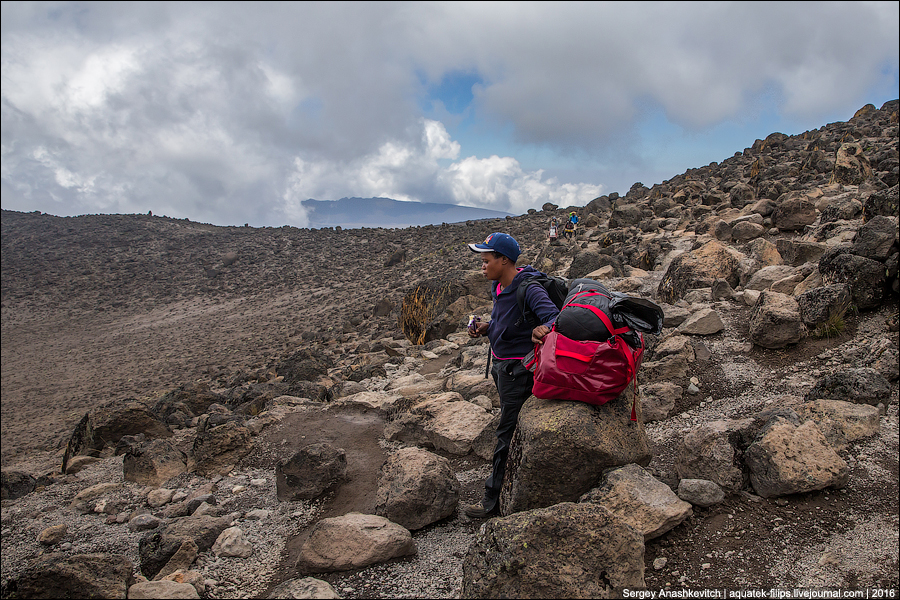 Kilimanjaro