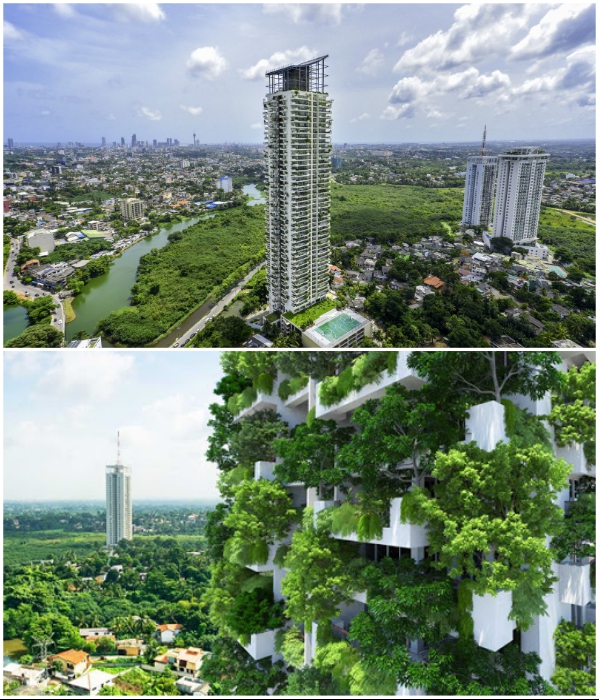  Эко-небоскреб Clearpoint Residencies стал первым вертикальным лесом в Шри-Ланке (Коломбо). | Фото: worldarchitecturenews.com/ builder.lk.