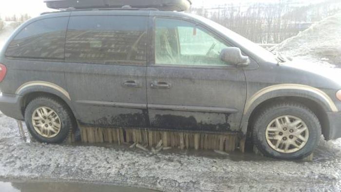 Подборка картинок. Вечерний выпуск (60 фото)