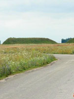 Змиевы валы на Украине