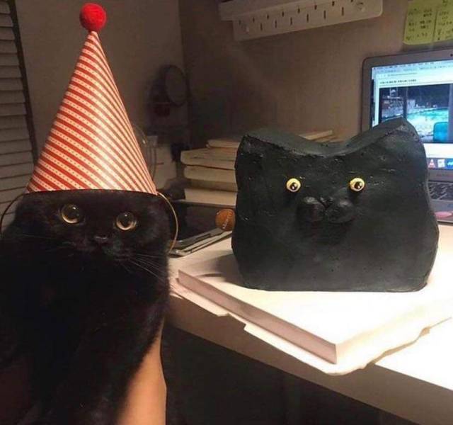 Подборка смешных картинок. Вечерний выпуск Подборка смешных картинок. Вечерний выпуск приколы,смешные картинки,юмор