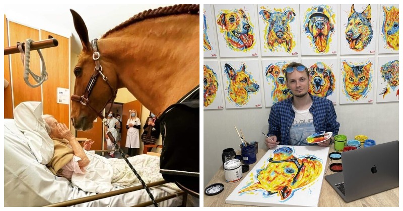 30 трогательных фотоисторий, которые точно вернут вам веру в человечество - похожая новость на Toplenta