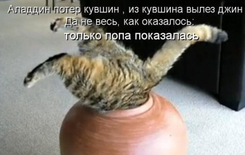 ЖИЗНЬ ЖИВОТНЫХ  Сначала, милота, настроения             , жизненные, ситуации                                                               