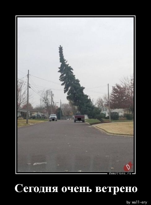 Демотиваторы прикольные Демотиваторы прикольные