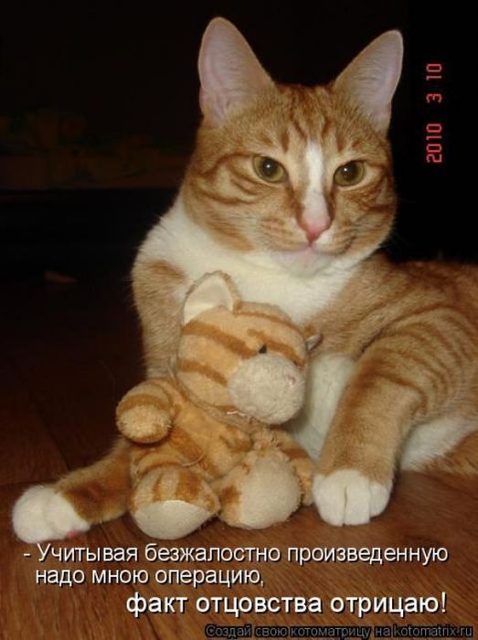 Мысли вслух :)