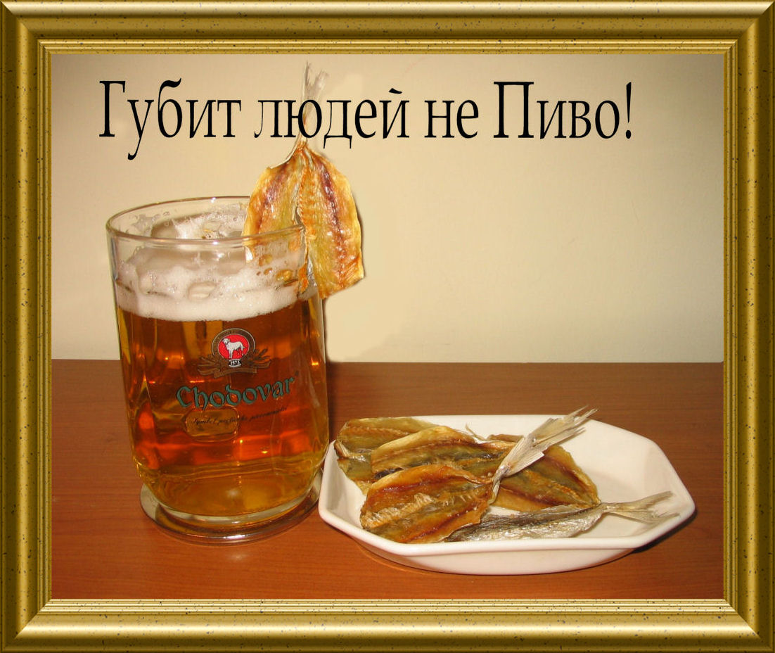 Скучно, пиво выпить открытки