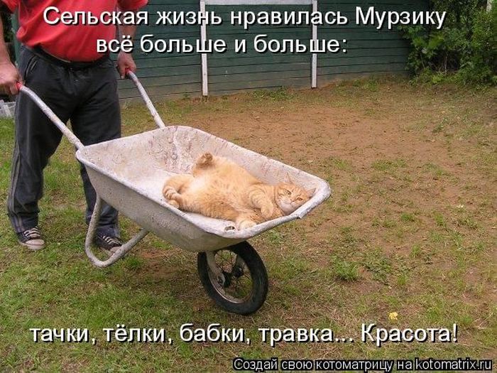 Мысли вслух :)