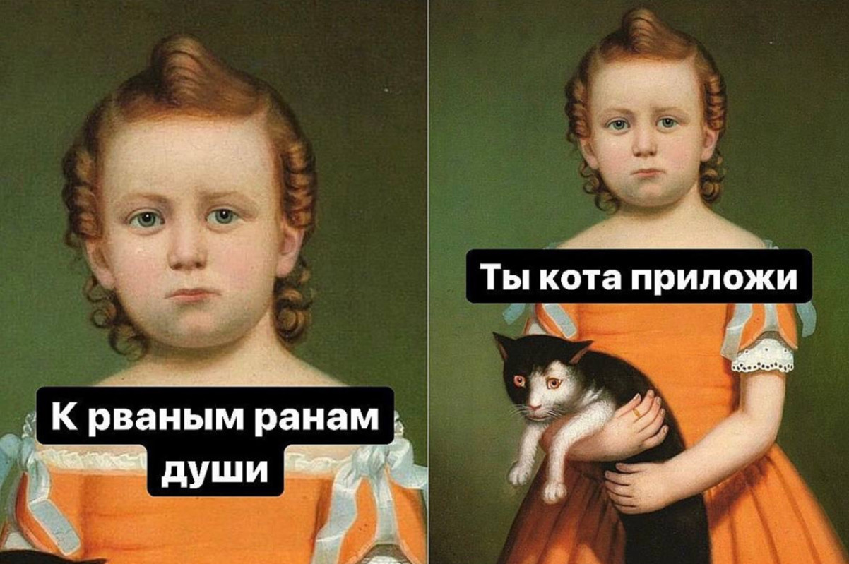 Прикольные картинки и мемы для любителей кошек  