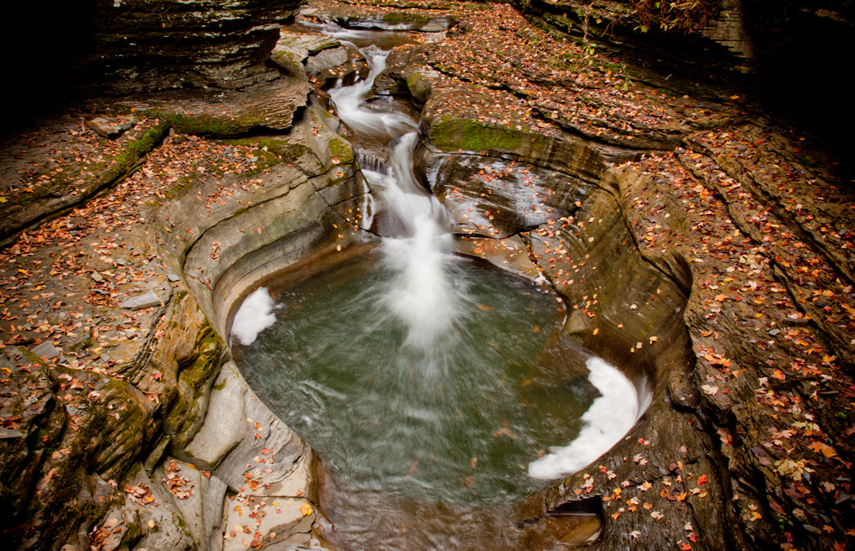 В осеннем парке. (Matt Hintsa)