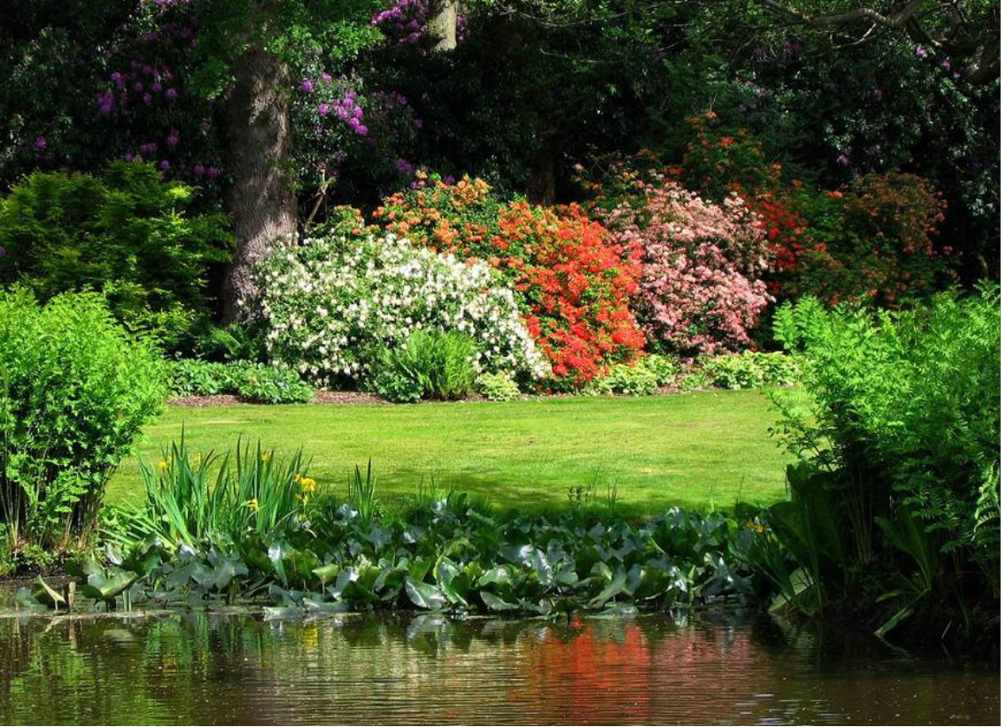 Сад можно. Savill Garden фото.