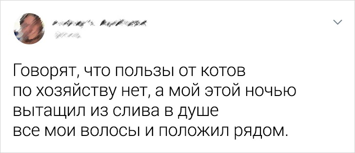 Без кота и жизнь не та Без кота и жизнь не та спасет, животное, спасёт, припёрсси , такую, свободу , хочет , режут, рядом, Потому, слезами , Горькими, плачет , Котэматрёшка Кот, лапки , пострадало , взгляда , планету , последний, Любовь