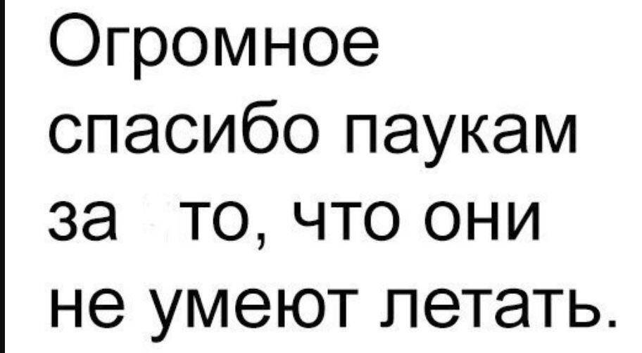 приколы картинки с надписями (5)