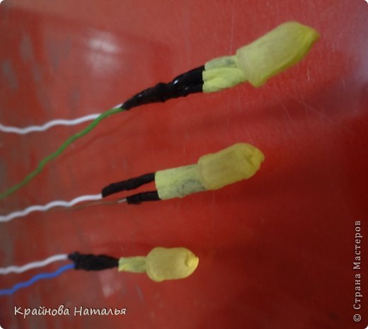 Мастер-класс Поделки электрические Флористика искусственная День рождения Бумагопластика Моделирование конструирование МК МАГНОЛИИ в технике кристальных цветов Бумага гофрированная фото 4