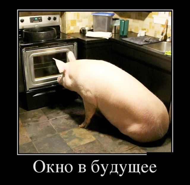 Утренние демотиваторы для веселья и позитива (11 фото)