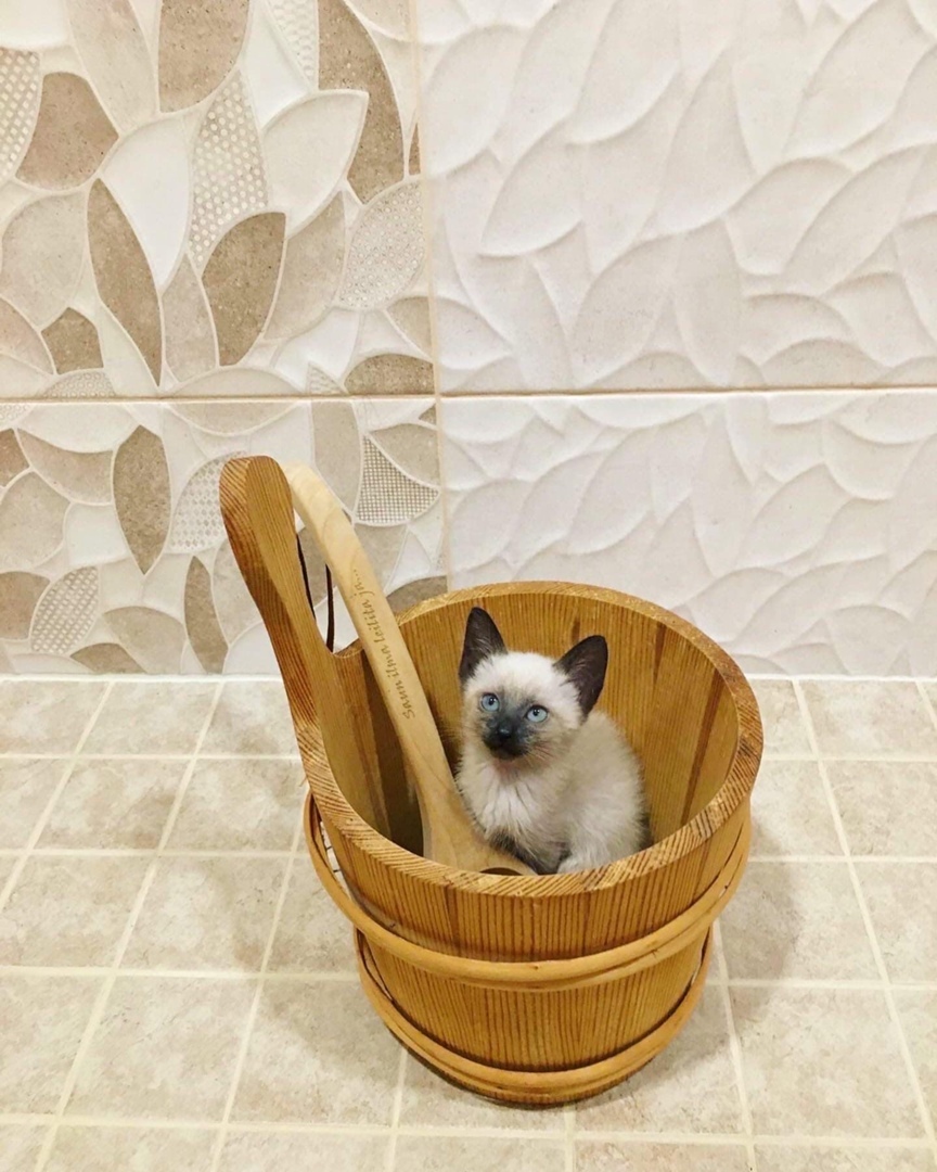 Напутствие себе в прошлое животные,Истории из жизни,отношения,позитив