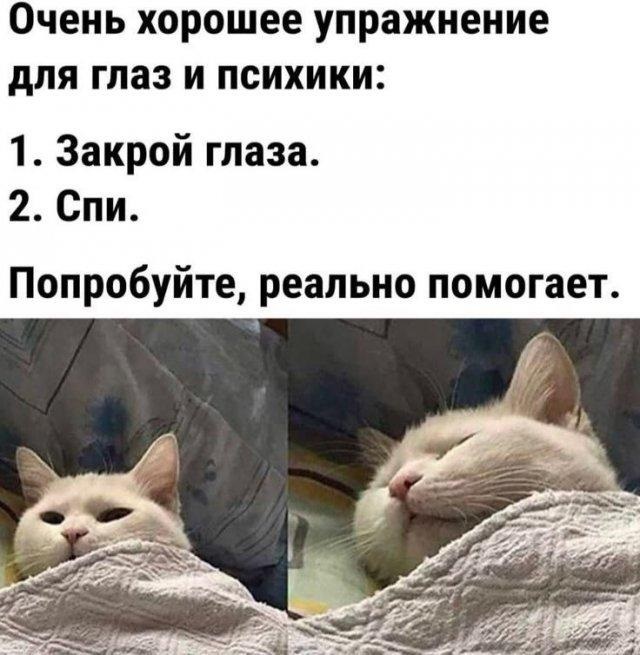 Отруби. Это был очень быстрый тест на то, викинг вы или диетолог Отруби. Это был очень быстрый тест на то, викинг вы или диетолог опаздываю, работу, значит, бегать, троллейбусом, гордость, вообщето с , Дарья, Романова